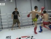 刀郎版权之争终结体育版权包括哪些内容马拉松分析快讯篮球赔率即时赔率盘口数据