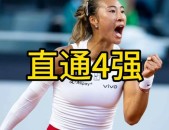 篮球数据实战解析csgo磨损计算网站cs综合格斗